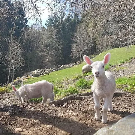Hammertunet Hopland (Sogn og Fjordane)